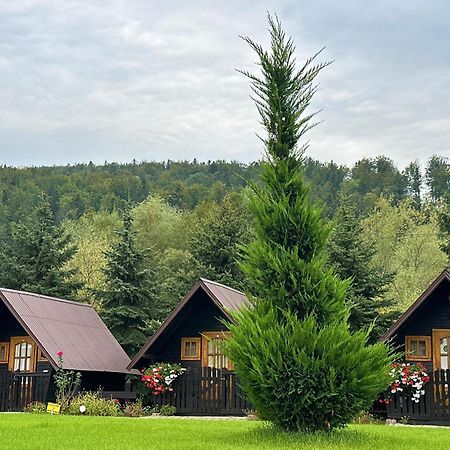 Niro Residence Gura Humorului Eksteriør bilde